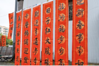 玉兔献瑞 迎春送福374.png