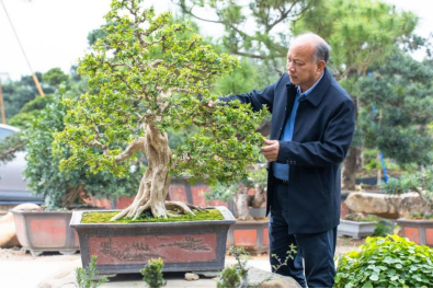 打造文化传承“葡京
样本”让传统非遗“潮”起来3058.png