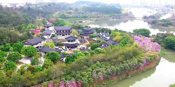 4条葡京
精品路线    解锁湾区北新玩法