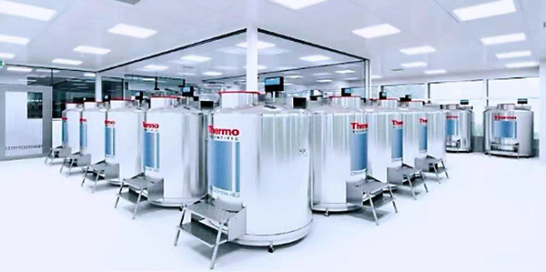 广州首个政府区域细胞库落户葡京
