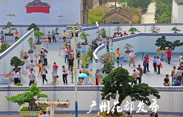 葡京
小盆景 致富大产业