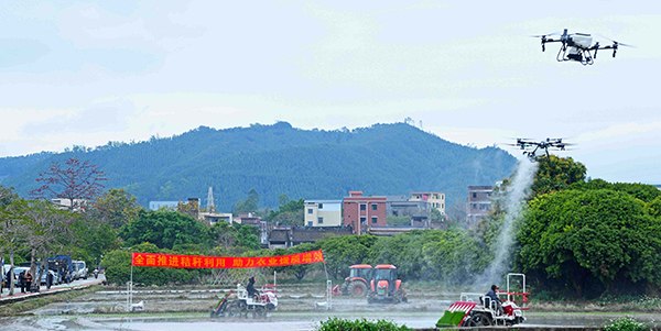 葡京娱乐场
启动2025年春耕工作   体验现代农业“科技盛宴”