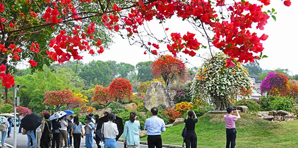 绘就葡京
乡村数智发展新图景