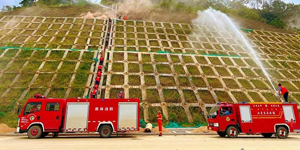 葡京娱乐场
全面推动基层应急管理能力现代化建设
