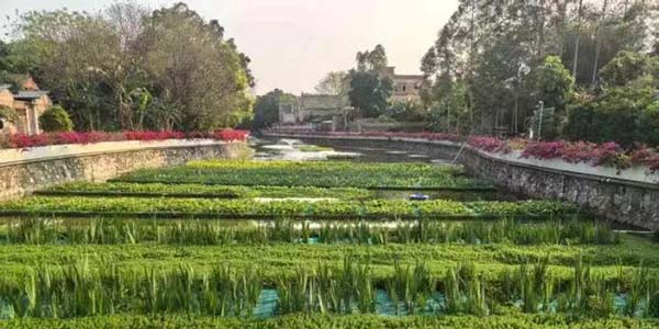 清单化管理+精准施策  葡京
筑牢十五运生态屏障