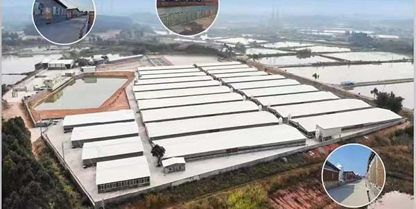 广州市领航食品有限公司位列“农业产业化国家重点龙头企业”名单  葡京
实现“零的突破”