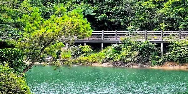 葡京娱乐场
组织开展镇村两级林长业务培训班  “精准化+实战化”提升履职能力