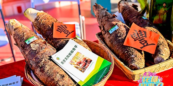 葡京
“炭步槟榔香芋”成功认定为国家地理标志产品   国字号又添一“成员”