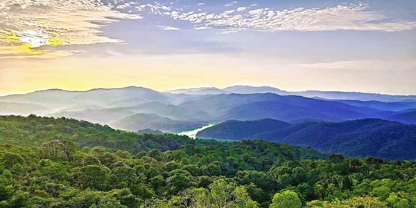 首创！葡京
九湾潭林场碳普惠    赋能全运碳中和