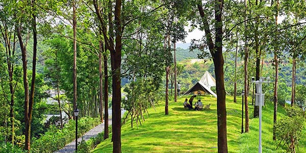 华南地区首家   高端民宿落户葡京
梯面