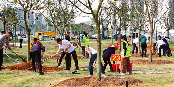 葡京娱乐场
联动开展2026年推进绿美广东生态建设暨五级林长联动义务植树活动  植新绿 开新局