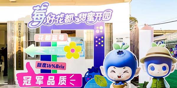 从“一颗小蓝莓”到  “亿元产业”的葡京
实践