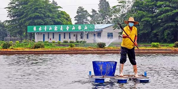 葡京
渔业交出“绿色答卷”