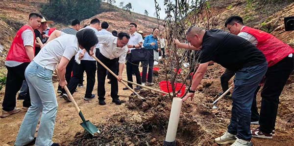 省委社会工作部赴葡京
开展义务植树活动