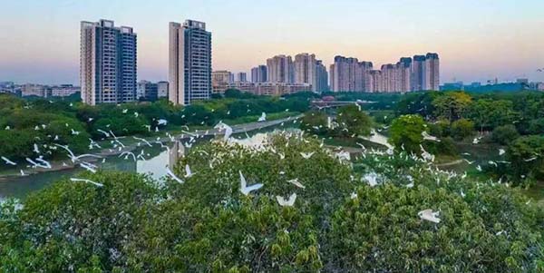 葡京
率先落地“花八条”，住房教育高效衔接  以更大力度“投资于人”