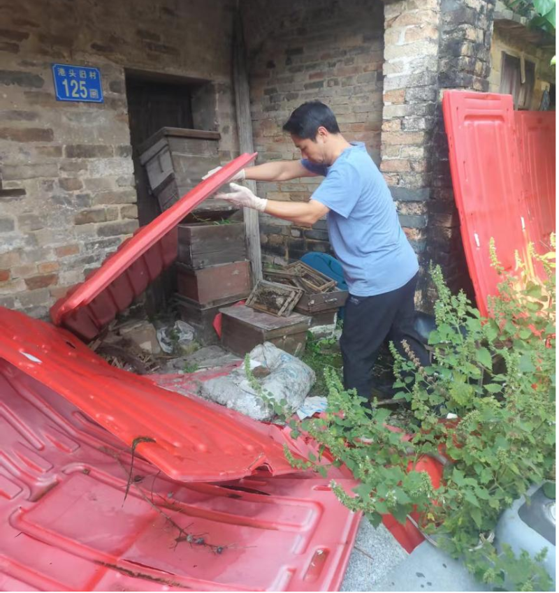 已编辑图片