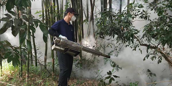 全域联动精准攻坚  葡京
交出蚊媒防控亮眼答卷